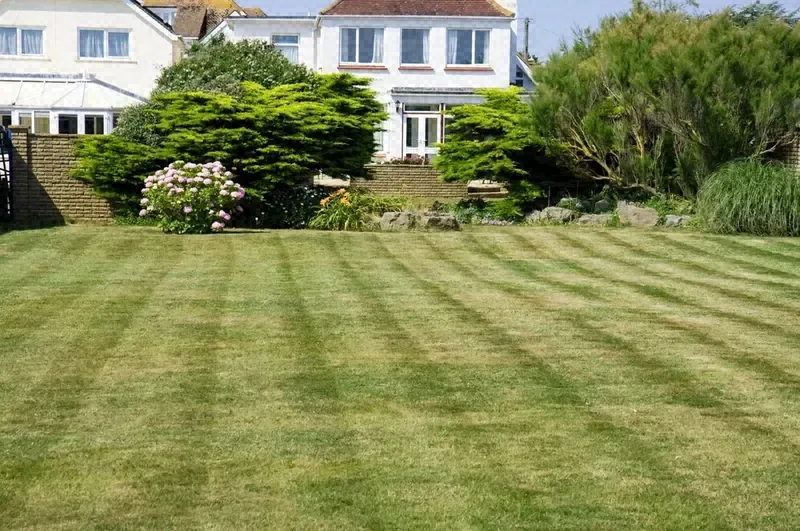 After: the same house with an overgrown lawn and shaggy hedges, then a striped, freshly mowed lawn and neatly trimmed hedges
