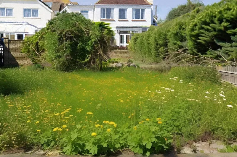Before: the same house with an overgrown lawn and shaggy hedges, then a striped, freshly mowed lawn and neatly trimmed hedges